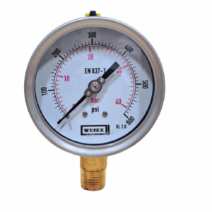 MANOMETRO INOX BRONCE  INFERIOR 100 MM - ROSCA- 1/2 NPT